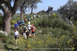 trail running: correr na natureza