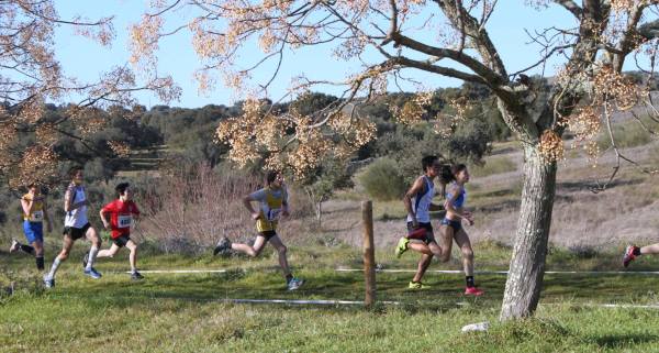 Duarte Tavares M15 em Figueira e Barros (foto de Helena Milhinhos)