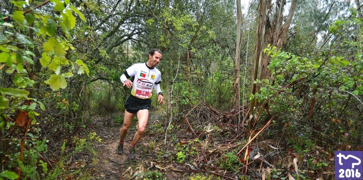 Luis Semedo VIVER PEREIRA 2016