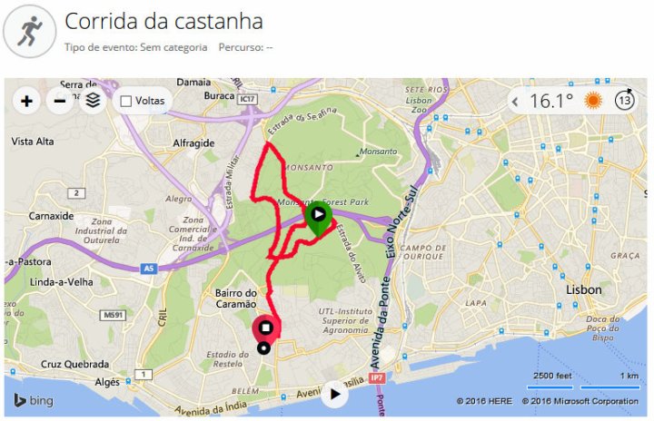castanha