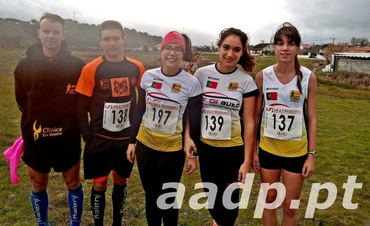 acp-p-sor-2017