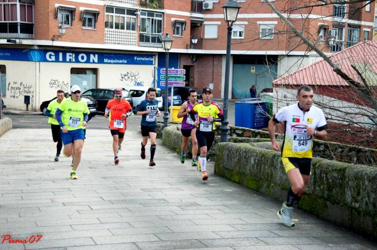 emilio-paulino-plasencia-2017ponte