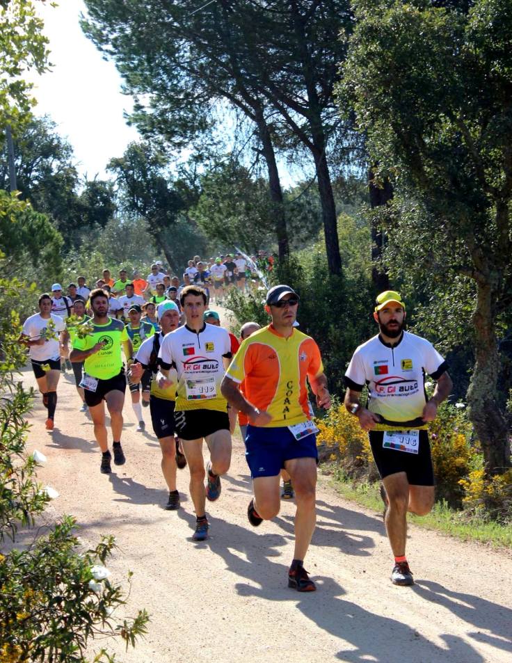 Trail Avis partida