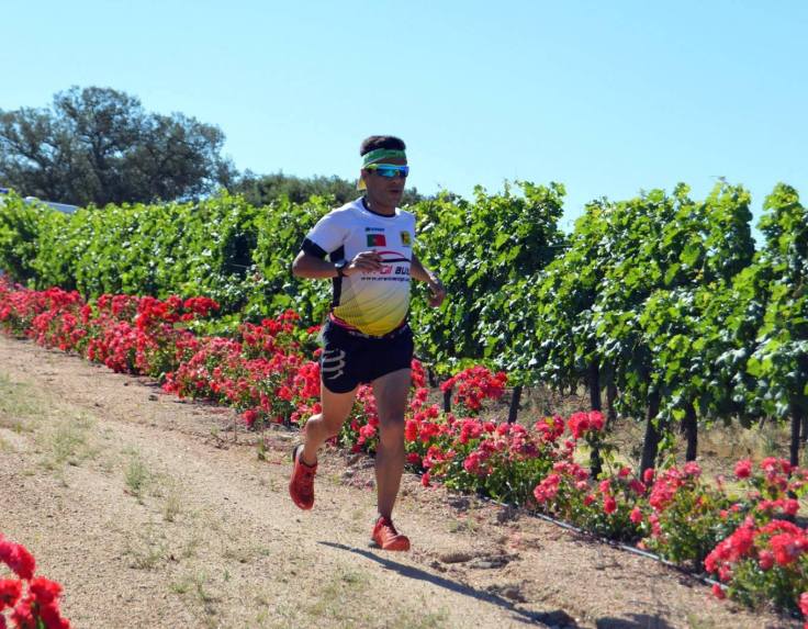 Diogo Vieira Arronches 2017