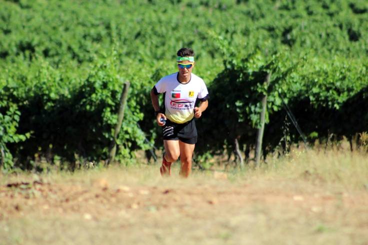 DiogoVieira Arronches 2017