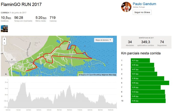 flamingo run
