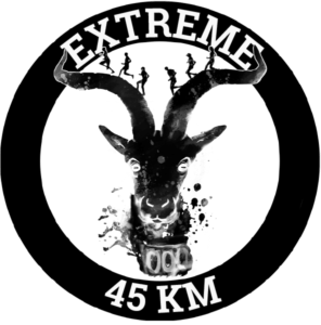 Logo-Guerrero-PSD-v.4-1-296x300