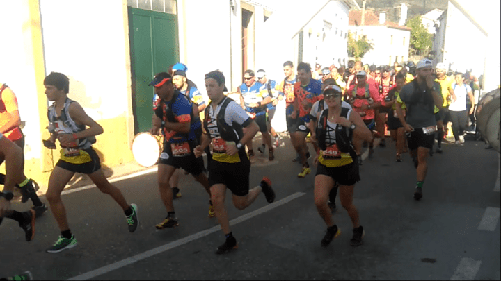 Partida grifos