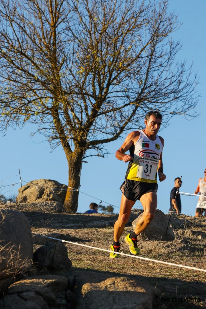 emilio ervedal 2017
