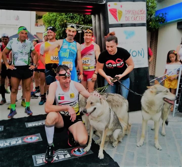 che com lobos