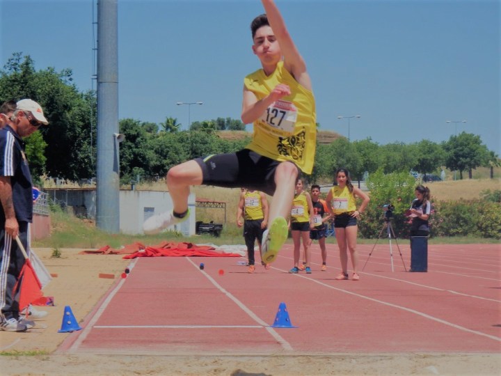 tavares 1