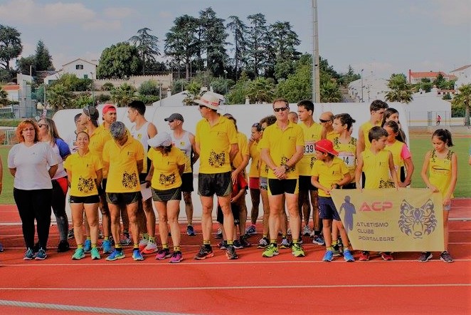acp pista