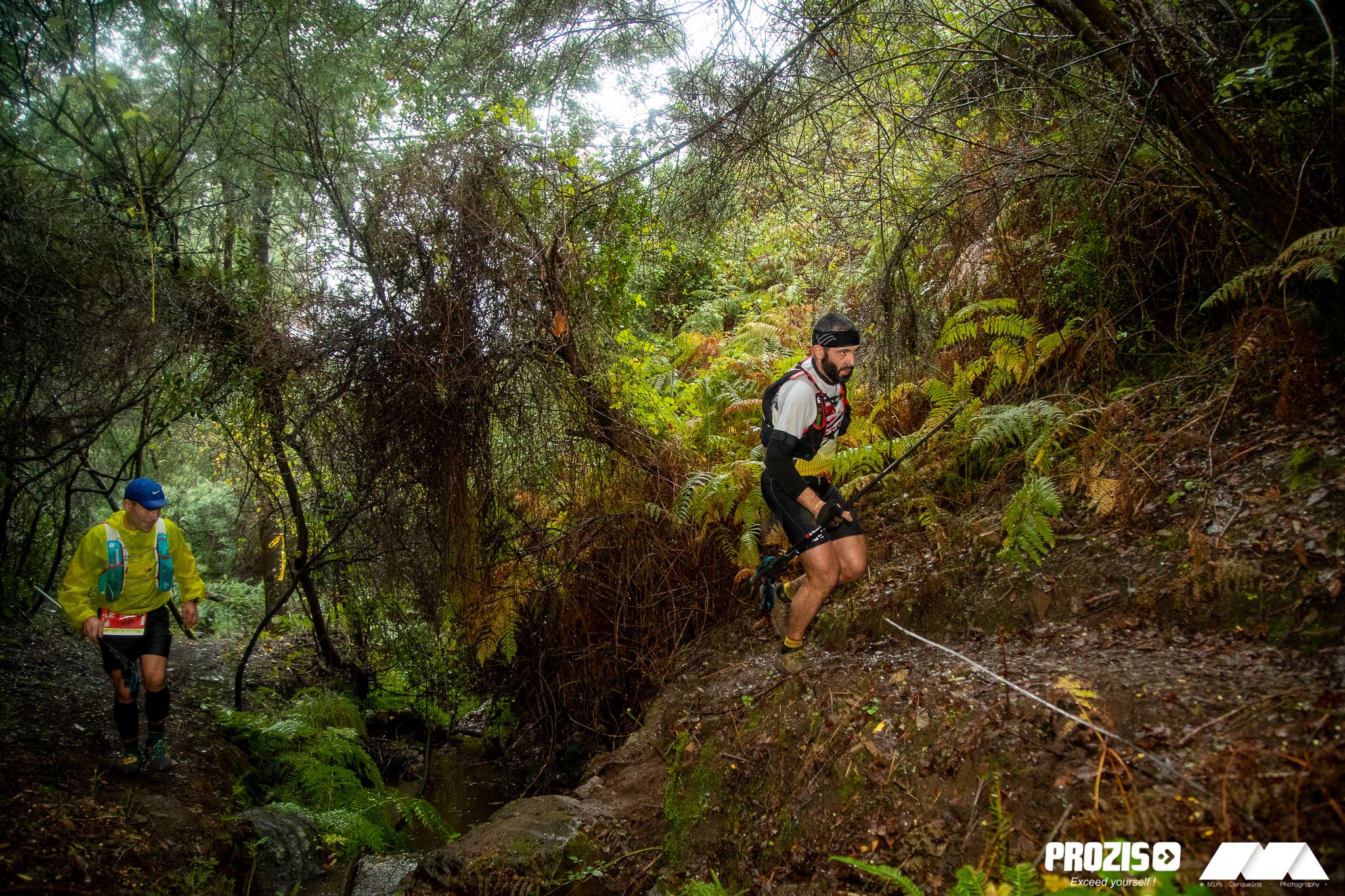 José Brandão Zezere